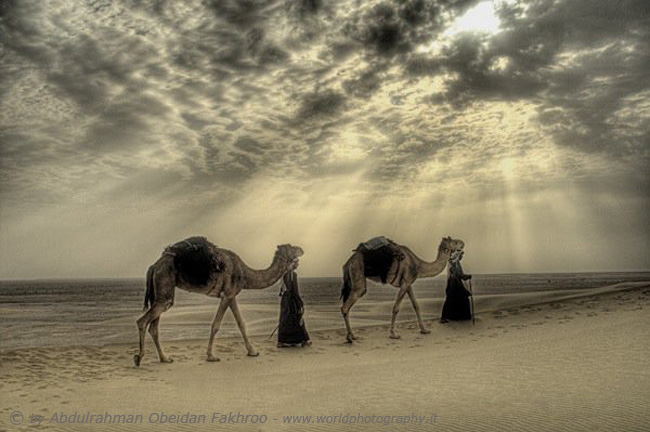 Desert the Qatar 